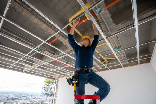 Best Plumbing Inspection Services  in Estherville, IA