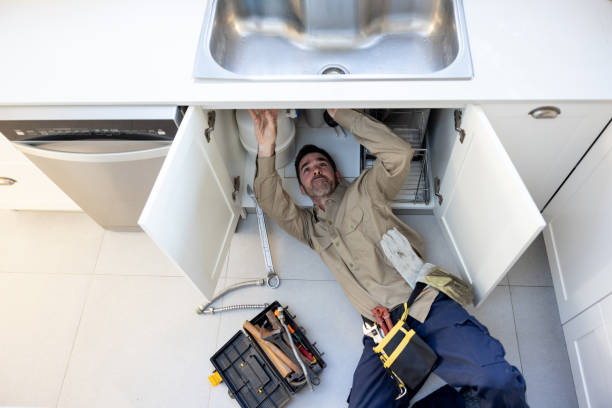 Best Local Plumber Services  in Estherville, IA