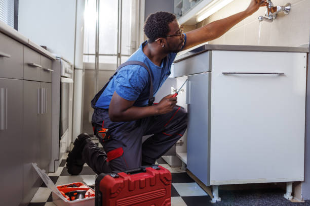 Best Local Plumber Services  in Estherville, IA